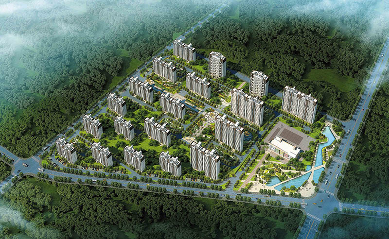 �̹�԰���ľ���