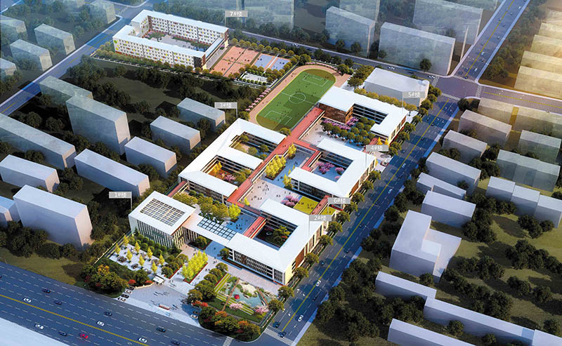 ����˫��ѧУ